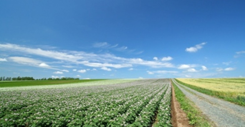 Сельское хозяйство в Нижегородской области